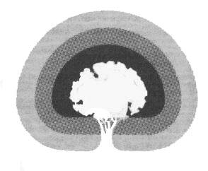 Tree symbol